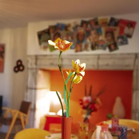 Lägenhet Le Seventies & Spacieux Et Athypique, Coeur Du Centre Agen